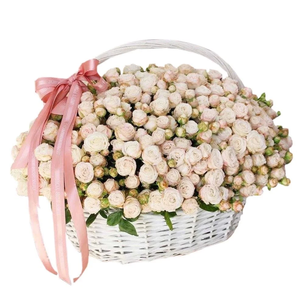Корзина из 101 кустовой розы "Мисс Бомбастик"